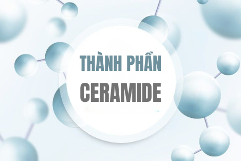 THÀNH PHẦN CERAMIDE TRONG MỸ PHẨM CÓ CÔNG DUNG GÌ? HƯỚNG DẪN CÁCH BỔ SUNG CHO TỪNG LOẠI DA